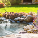 Oase Filtral UVC All In One Unit