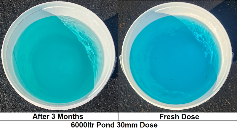 PondMAX TintMAX Blue Pond Dye