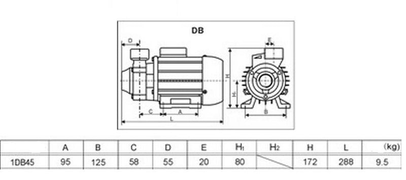 db-dimensions.jpg