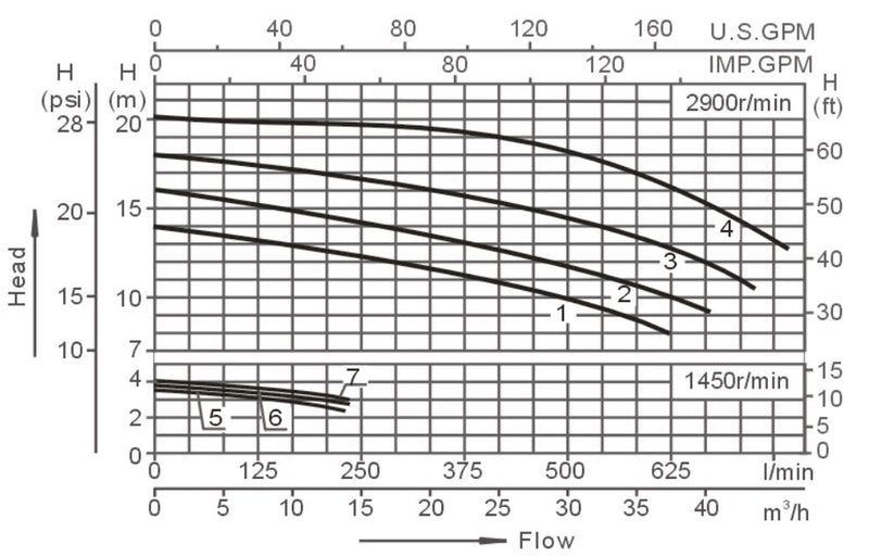 wp200-1-curves.jpg